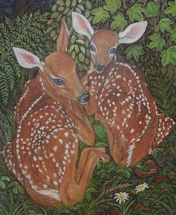 Two White-Tailed Deer Fawns