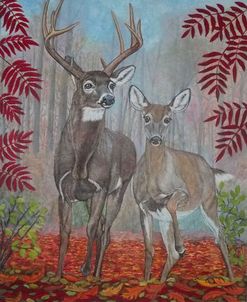 White-Tailed Deer Buck And Doe With Sumac Leaves In Fall