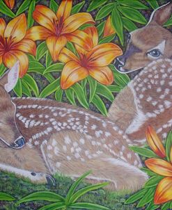 White-Tailed Deer Fawns Among Lilies