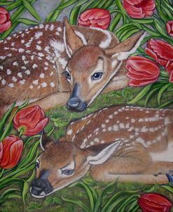 White-Tailed Deer Fawns Among Tulips