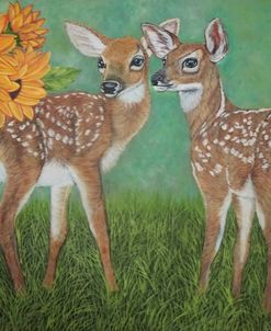 White-Tailed Deer Fawns With Sunflowers
