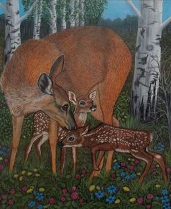 White-Tailed Deer Doe And Fawns Among Birch Trees