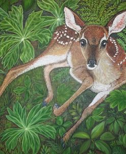 White-Tailed Deer Fawn