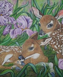 White-Tailed Deer Fawns Among Irises