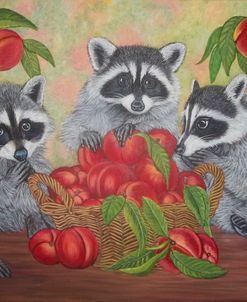 Raccoon and peaches