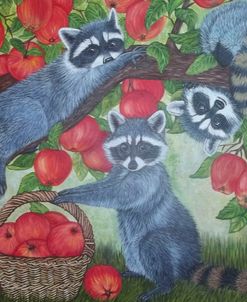 Raccoon and apples