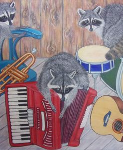 Raccoon music band