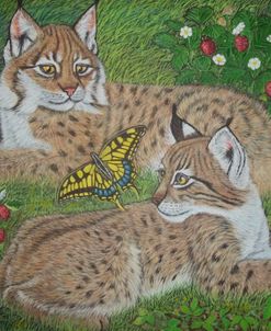 Bobcat Kittens With A Butterfly Among Wild Strawberries