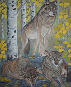 Three Wolves