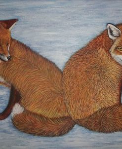 Winter Foxes