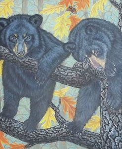 Black Bear Cubs On An Oak Tree