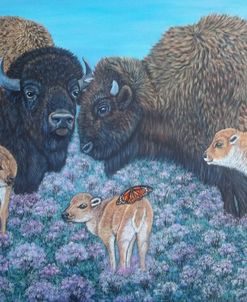 Bisons, Calves, And A Butterfly