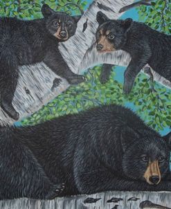 Black Bear And Her Cubs On A Birch Tree