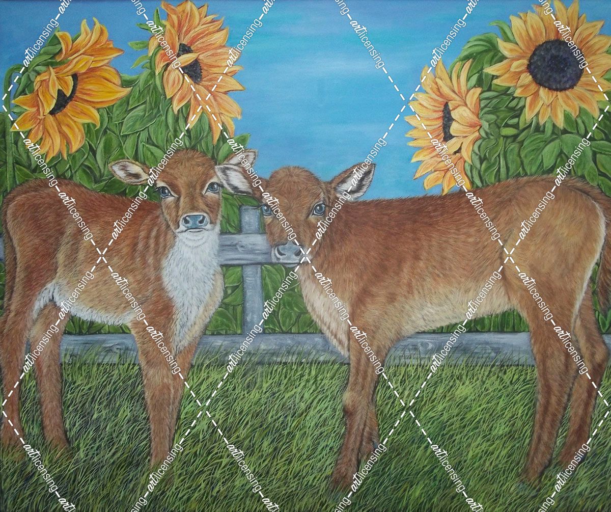 Calves and sunflowers