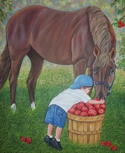 Picking Apples, A Little Boy And A Horse