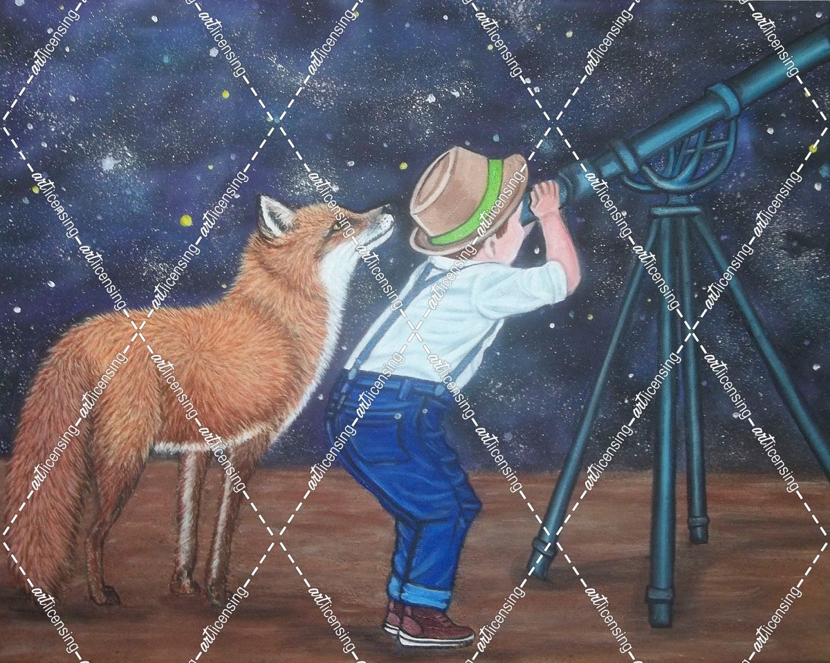 Watching Stars, A Little Boy And A Fox