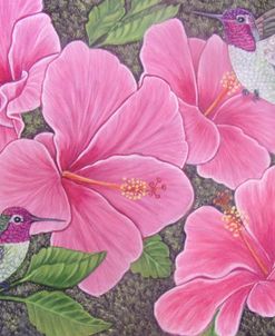 Two Hummingbirds And Hibiscus Flowers