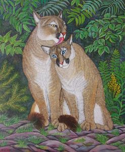 Pumas Kiss