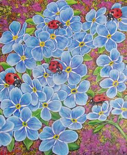 Ladybugs And Forget-Me-Not Flowers