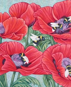 Bumble Bees and Poppy Flowers
