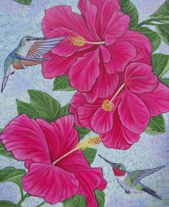 Hummingbirds and Hibiscus Flowers
