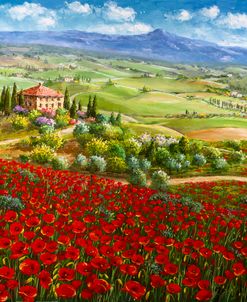 Tuscany Poppy