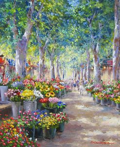 Narbonne, France Flower Market