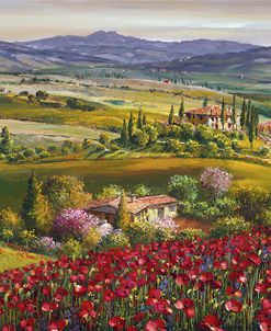 Tuscan Poppy