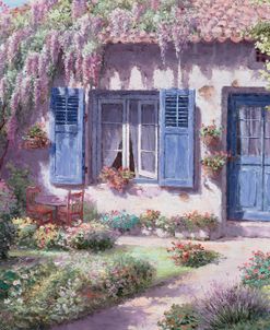 Wisteria Provence