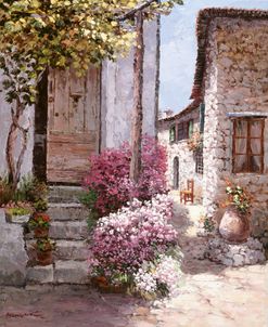 Flowers Of Provence