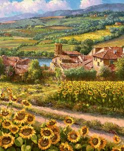 Tuscany Sunflowers