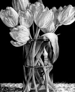 Nine Tulips