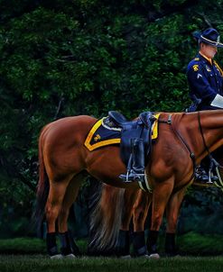 Police Funeral