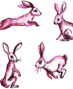 Follow The Pink Rabbit