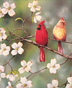 Cardinals