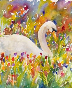 Colorful Swan