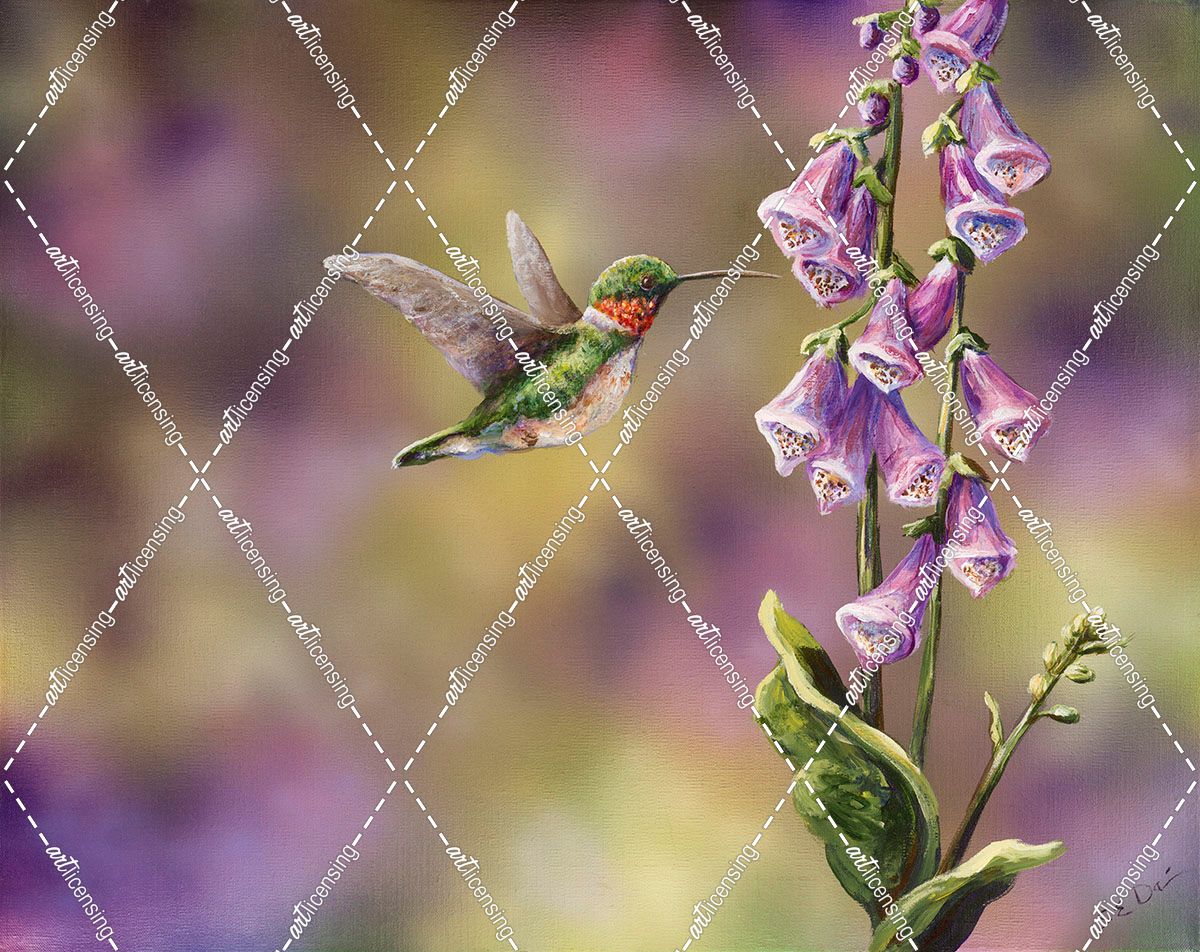 Spring Hummingbird