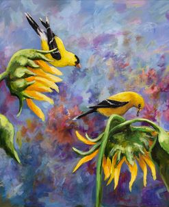 Finches with Sunflowers