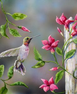 Hummingbird with Flowers