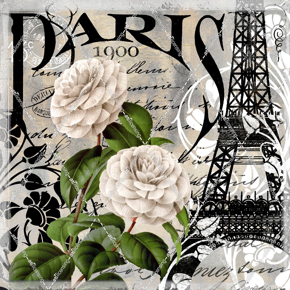 Paris Blanc II