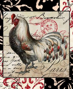 Europa White & Gray Rooster