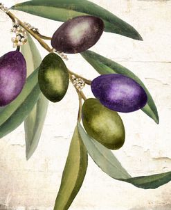 Olive Branch I