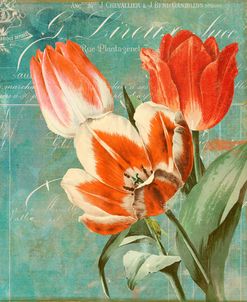 Tulips Ablaze II