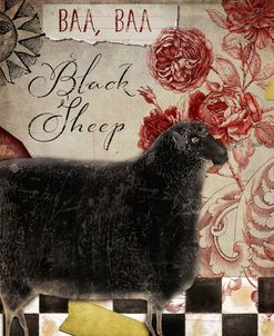 Baa Baa Black Sheep