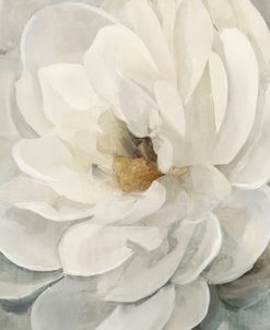 Cream Peony I