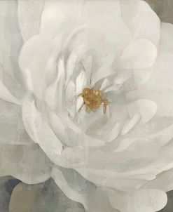 Cream Peony II