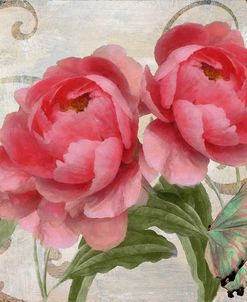 Apricot Peonies I