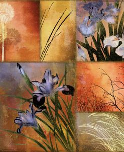 Grasslands II