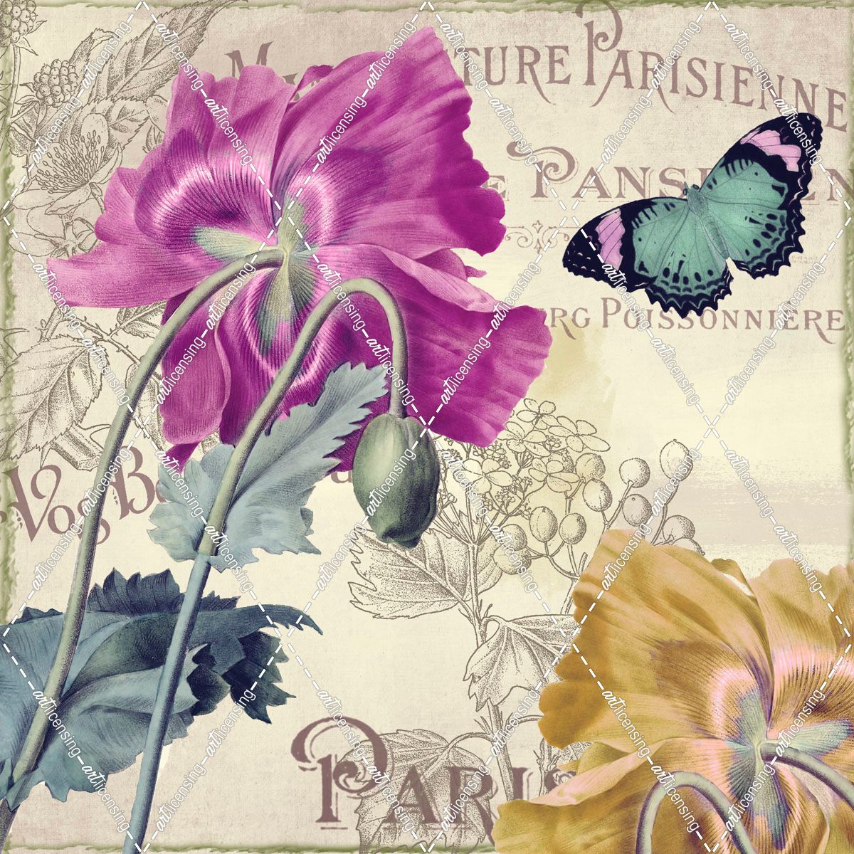 Petals of Paris III