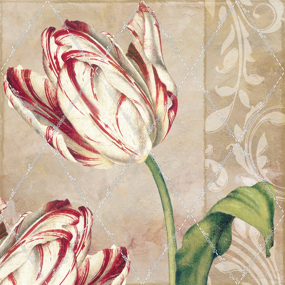 Peppermint Tulips I
